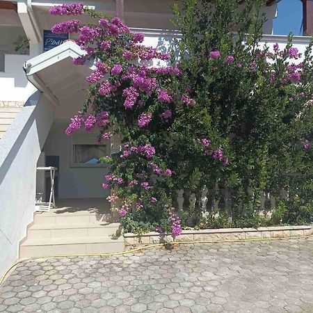 Apartments Vir Delfin Екстер'єр фото
